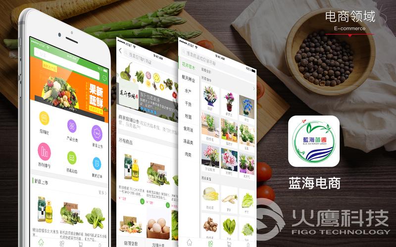 app开发|购物综合商城|商城app定制开发|电商app开发